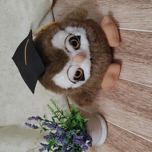 GRADUATION OWL supercute collectible stuffie high school glasses hat 6"